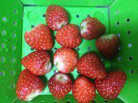 还在羡慕别人家的“草莓大福”，不去日本也能吃的正宗的做法步骤1