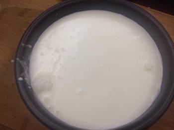 酸奶慕斯蛋糕（含奶油版）的做法图解26