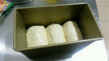 酸奶吐司冷藏中种的做法步骤3