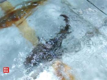 清蒸石斑鱼-原汁原味的鲜美与清甜的做法步骤1