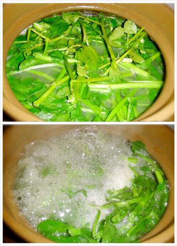 清热润燥老火汤-西洋菜蜜枣汤的做法步骤2