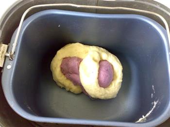 牛奶紫薯馒头的做法步骤4