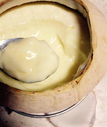 原只椰子鲜奶炖蛋的做法步骤7