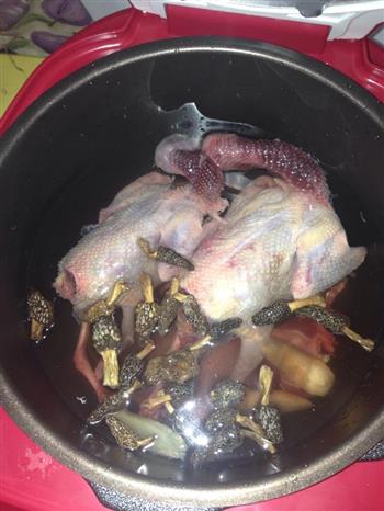 一羊肚菌鸽子汤的做法步骤2