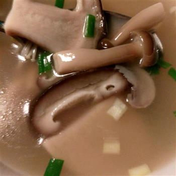 营养原味菌菇汤的做法图解4