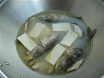 香菇豆腐鲫鱼汤-冬季暖身的做法步骤10