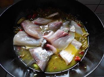 酸菜鱼-冬季暖身的做法步骤9