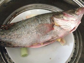 补虚减肥的清蒸鳜鱼的做法步骤4