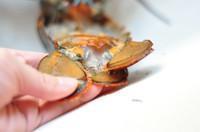 酥脆芝士焗龙虾的做法图解2