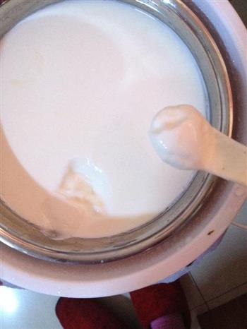 老酸奶的做法步骤2