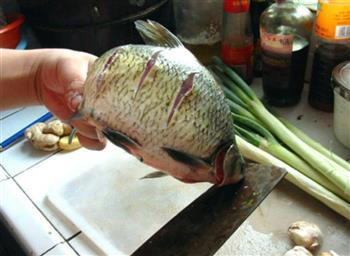红烧鳊鱼的做法步骤3
