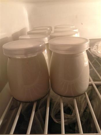 自制酸奶的做法步骤16