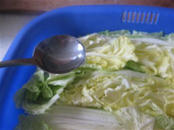 韩式辣白菜的做法步骤5