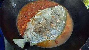 茄汁白酒焖金鲳鱼的做法步骤5