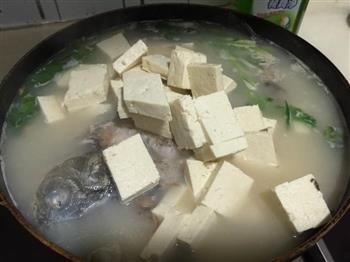 奶白鲫鱼豆腐汤的做法步骤6