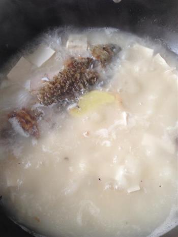 奶白鲫鱼豆腐汤的做法步骤3