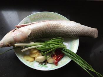 红烧鲻鱼块的做法步骤1