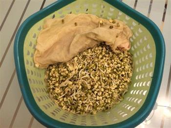 家庭自制绿豆芽纯天然绿色自己种蔬菜的做法步骤1