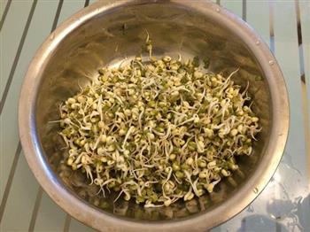 家庭自制绿豆芽纯天然绿色自己种蔬菜的做法步骤4