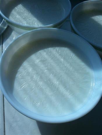 蒸锅版黄桃双皮奶的做法步骤1