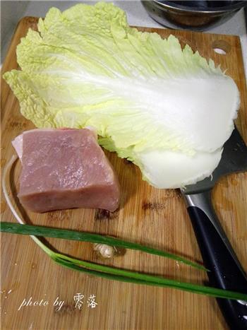 白菜猪肉锅贴的做法图解1