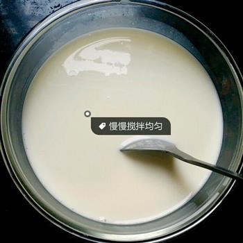免酸奶机做酸奶的做法图解4