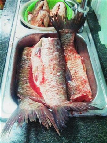 红烧咸鱼-附咸鱼的腌制方法的做法步骤5