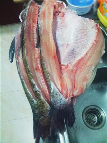红烧咸鱼-附咸鱼的腌制方法的做法步骤6