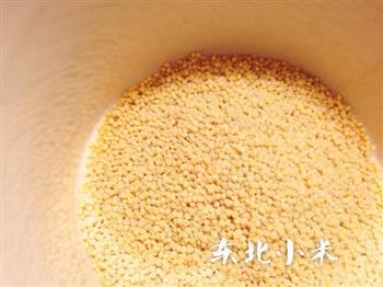丰胸药膳-红枣黄芪小米粥的做法图解2