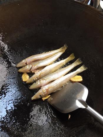 香煎沙尖鱼的做法步骤3