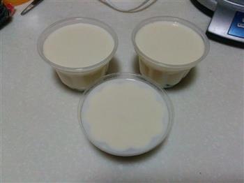 蜜豆椰奶冻的做法步骤10