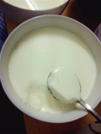 简易姜撞奶的做法步骤4