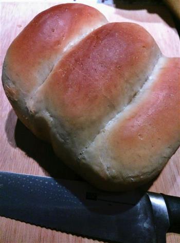鲜奶土司面包的做法图解6