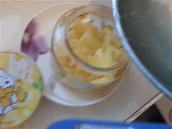 巧做菠萝罐头的做法步骤9