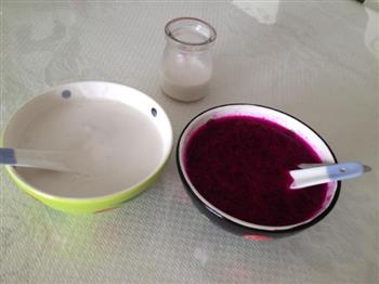 火龙果酸奶布丁的做法步骤3