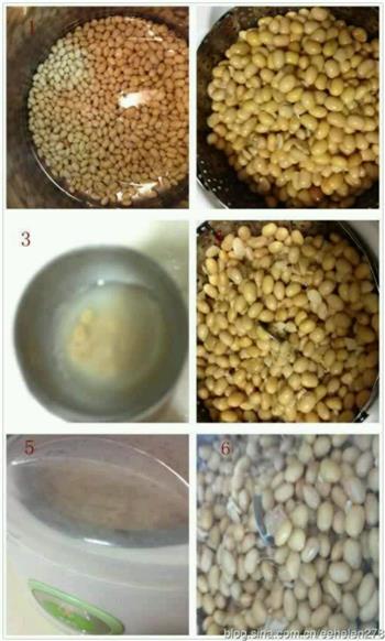 大脸牛纳豆发酵菌自制纳豆的做法步骤1