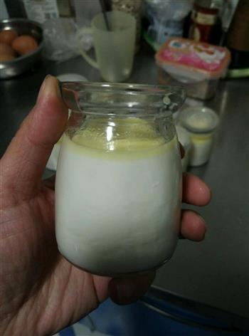 原味酸奶的做法步骤12