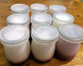 美味桑葚果酱酸奶的做法步骤4