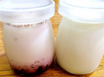 美味桑葚果酱酸奶的做法步骤7