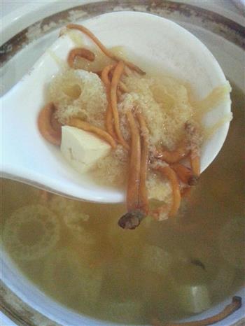 我爱煲汤-虫草花竹荪白玉汤的做法图解1