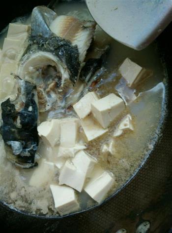 在家也能做奶白的鱼头豆腐汤的做法步骤9