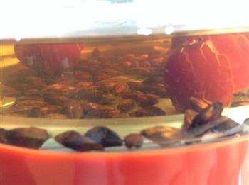 红枣蜂蜜大麦茶的做法图解6