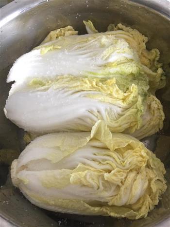 家庭自制辣白菜的做法步骤2