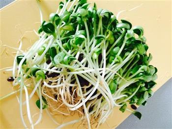 绿色低脂的健康大豆瓣菜的做法步骤1