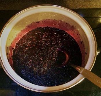 桑椹果酱-附“补血果”多种养颜酿方的做法步骤5