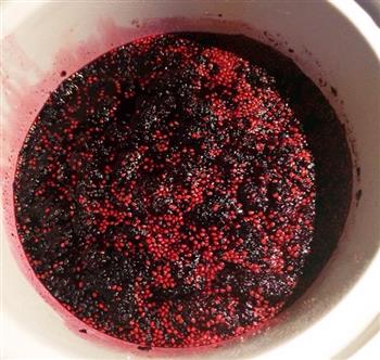 桑椹果酱-附“补血果”多种养颜酿方的做法步骤6