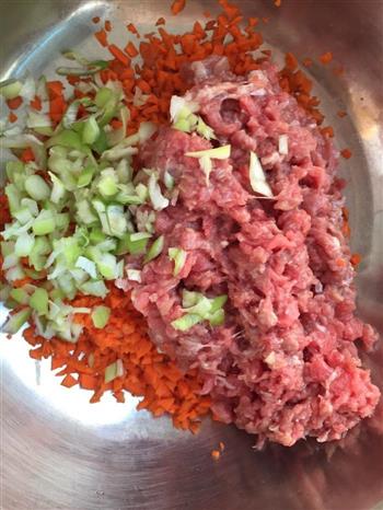 胡萝卜牛肉包子的做法步骤1