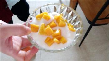 芒果大果粒酸奶的做法图解4