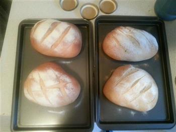 脆皮面包的做法步骤9