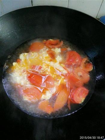 简单的番茄鸡蛋汤的做法图解4